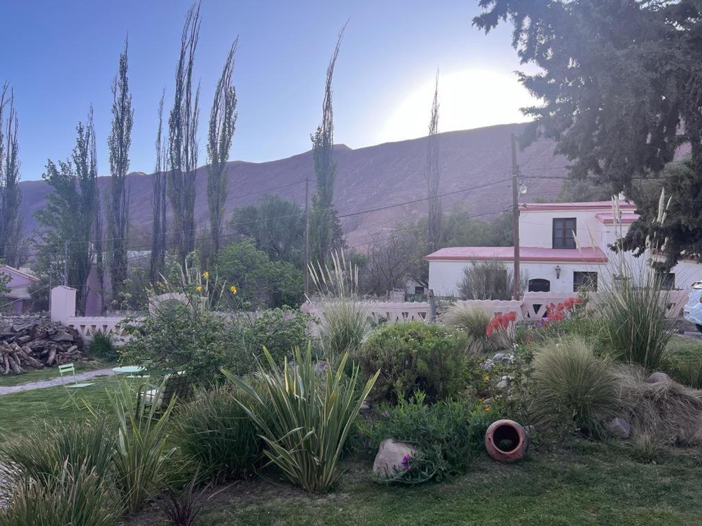 Los Arcabuceros Casa Hotel Boutique Тилкара Екстериор снимка